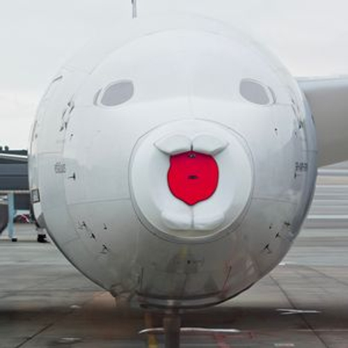 badanka's profile picture