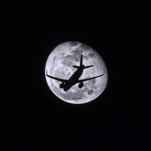 Steptic's profile picture