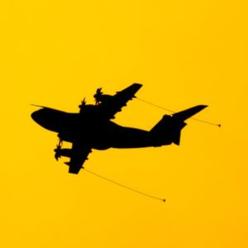 Puszek's profile picture