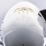 InfianEwok profile picture