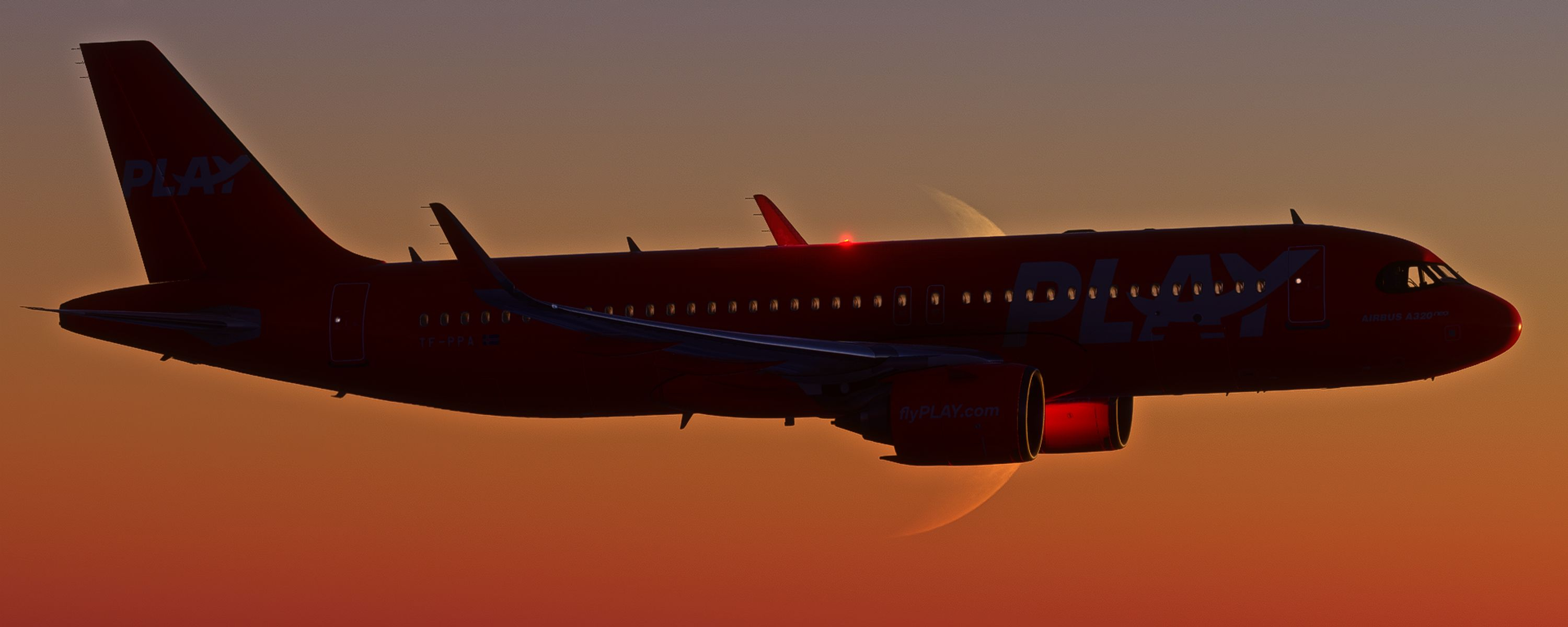 User's banner