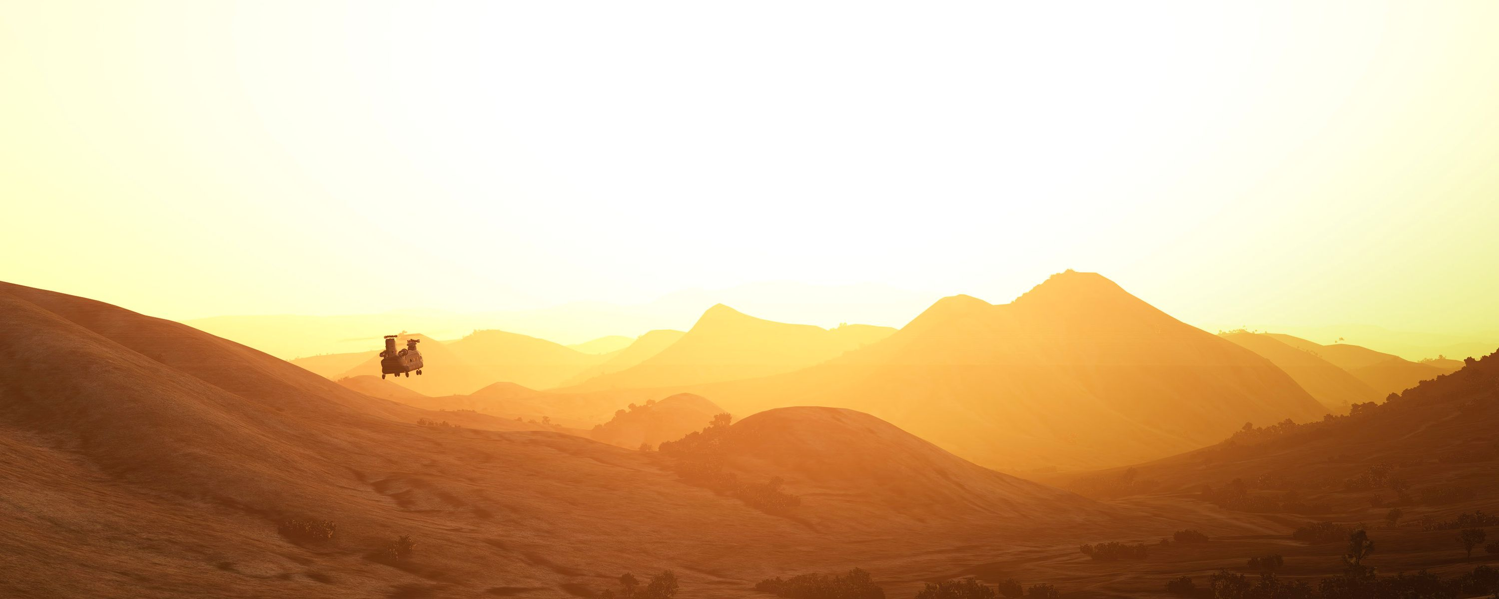 User's banner