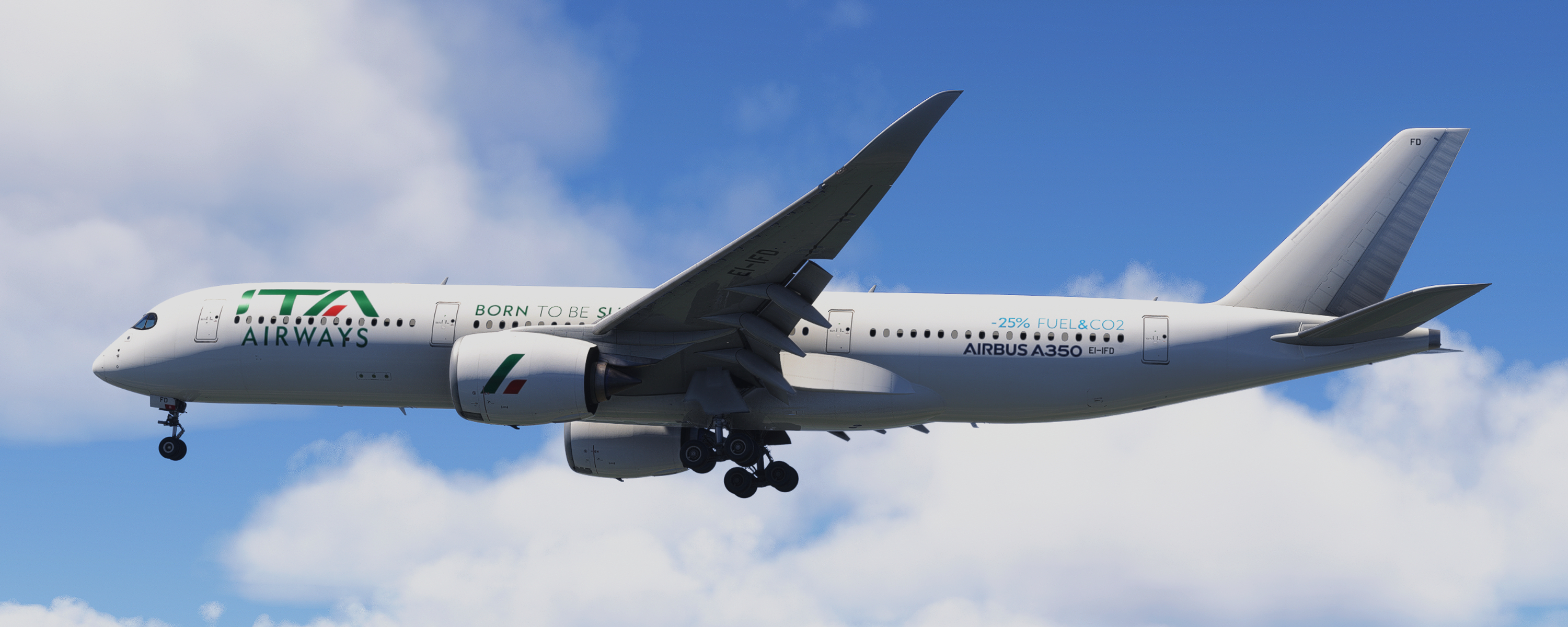 User's banner