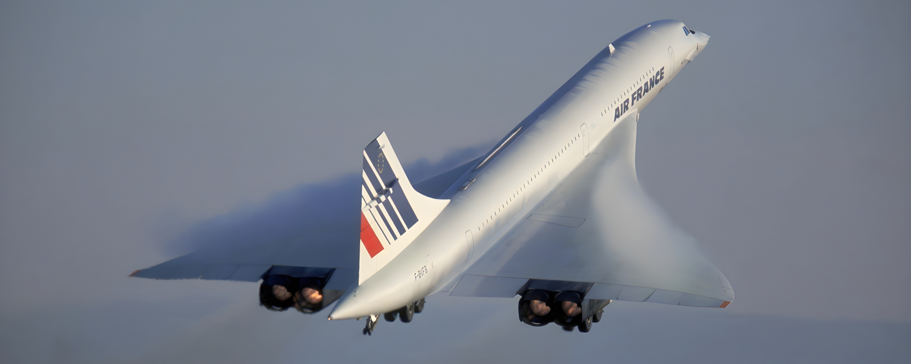 User's banner