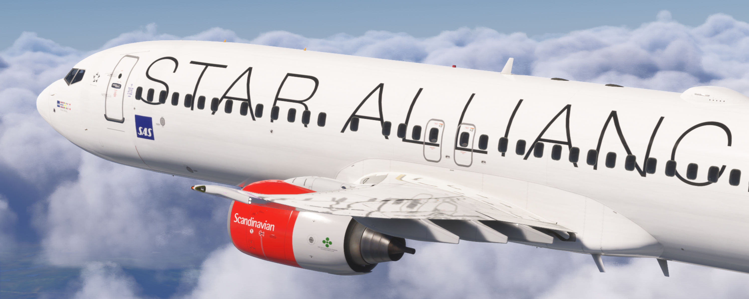 User's banner