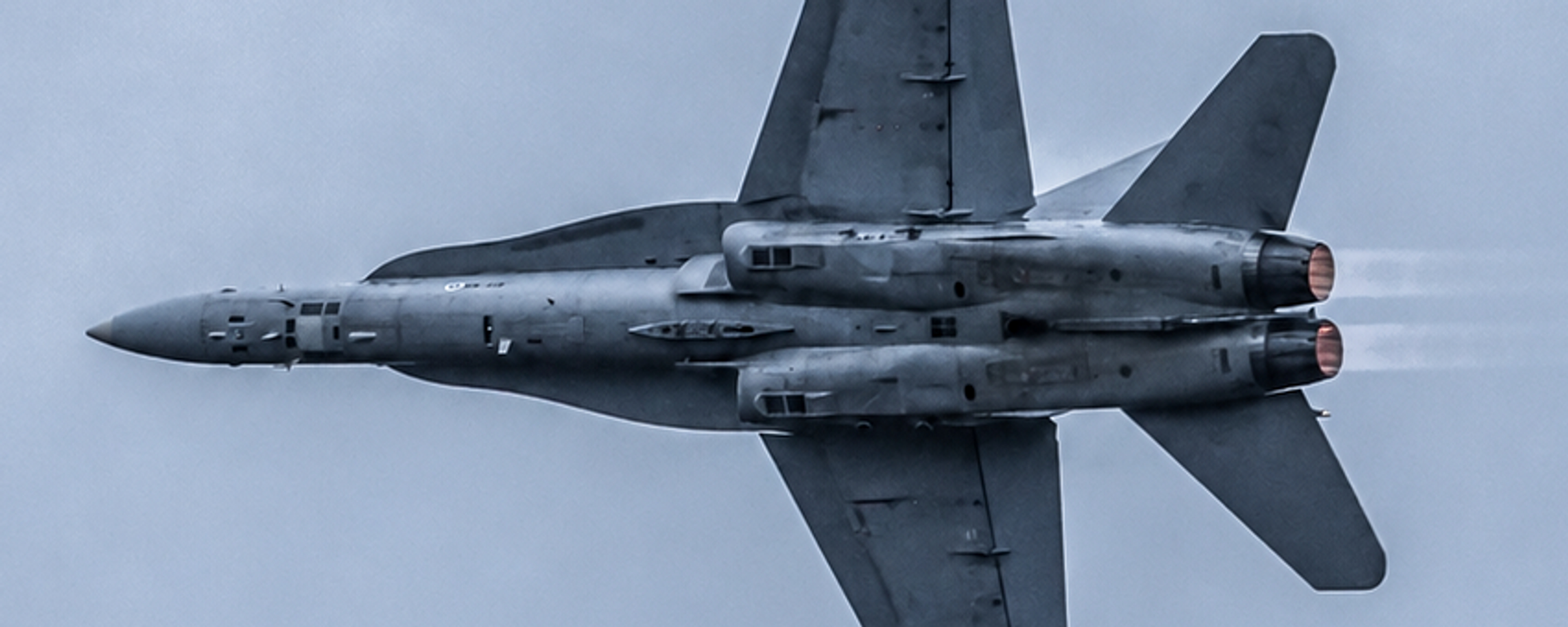 User's banner