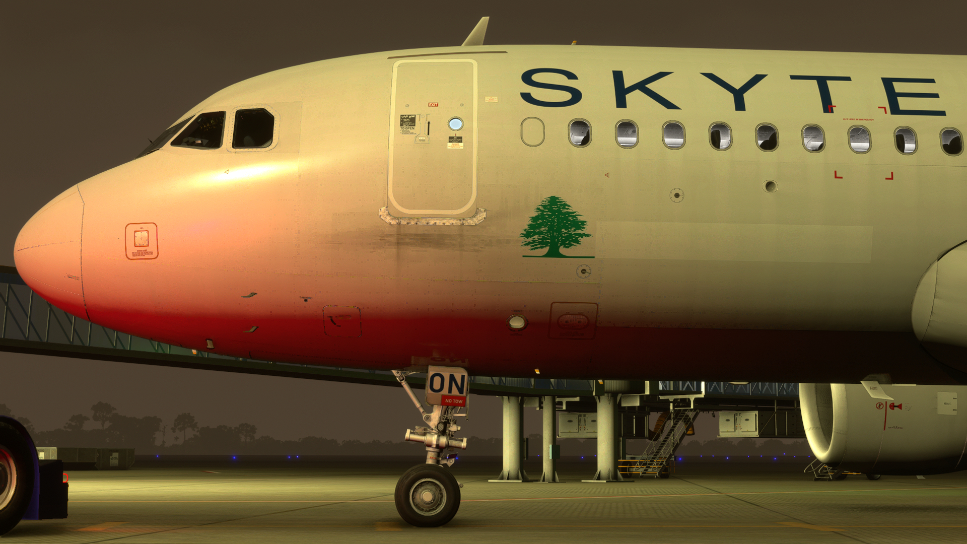 Nose of Fenix Airbus A320
